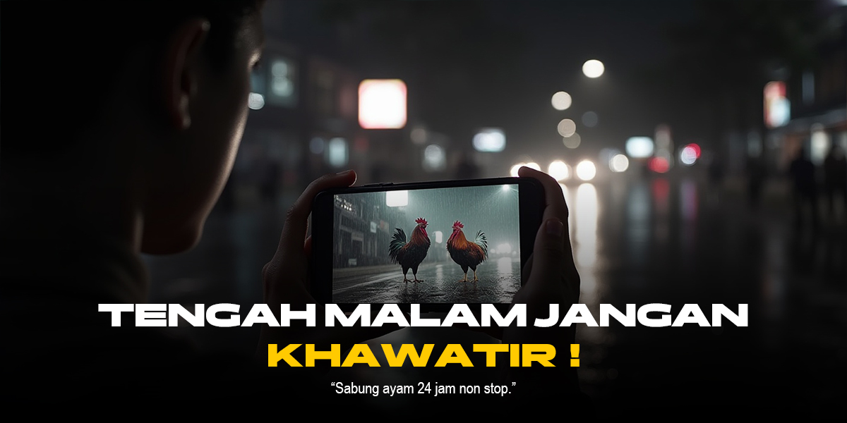 Mengenal Jenis Ayam Aduan dan Peluang di Provider SV388 Sabung Ayam